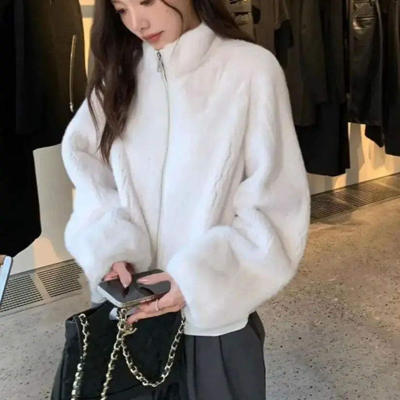 Plüsch Kurz mantel Stand Kragen Korea Herbst Winter Mode Jacke Frauen Temperament elegante lose Taschen warme Nerz Imitation Fell