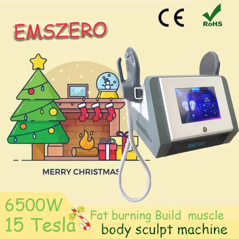 

2024 New EMS Fat Removal Machine 200Hz RF Technology Electromagnetic Muscle Massager 6500W EMSZERO Slimming Machine