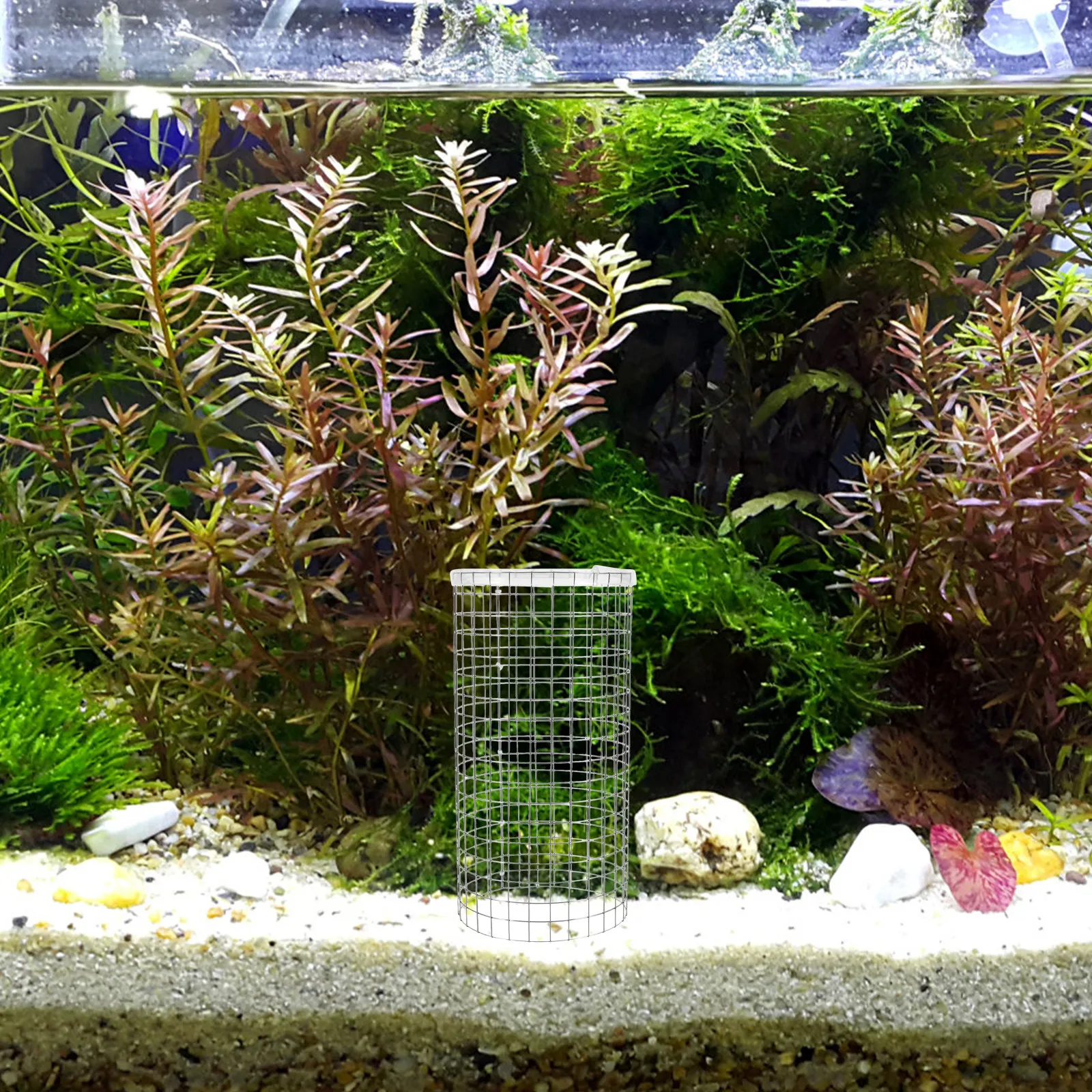 Aquarium Fish Discus - Fish Breeding Cone Grid Stable Iron