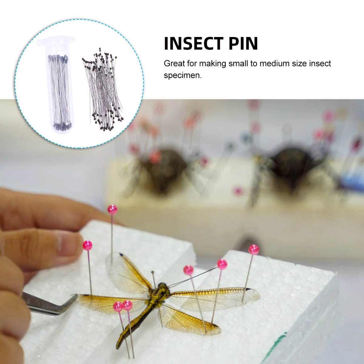 

100 pcs Stainless Steel Specimen Pins For Entomology Insect Pin Collection School Dissection #2 Silver