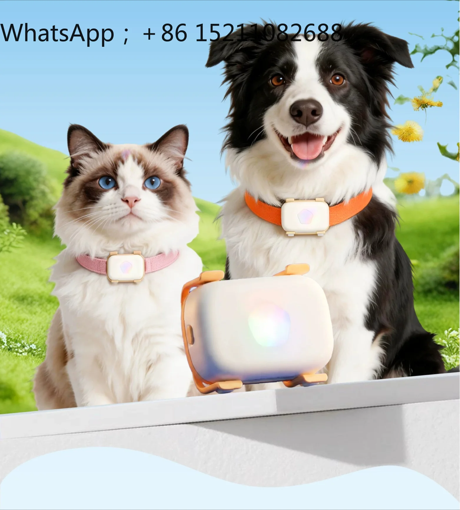 SCY pet locator cat and dog anti-lost GPS real-time positioning collar tracking artifact voice recall
