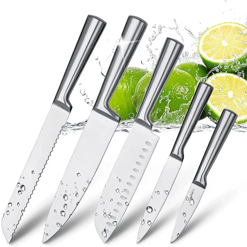 

Best Selling Classic Stainless Steel 5-Piece Kitchen Set Basic Hollow Handle Matt Surface Includes 8-inch Chef Knife