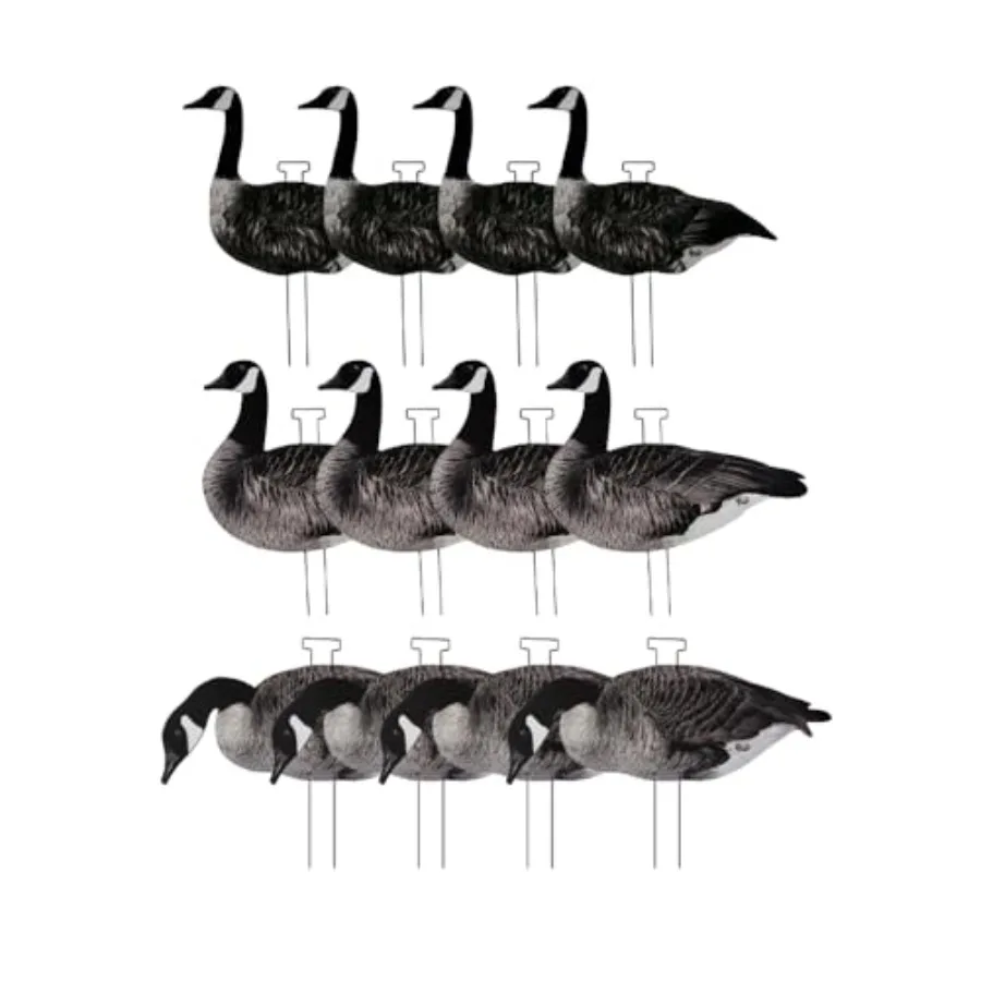 

Ultimate Flock-Stopper Silhouette Goose Deco, 12 упаковок, канадские охотничьи приманки для гуся с 3 реалистичными позициями, фотореалистичные матовые приманки
