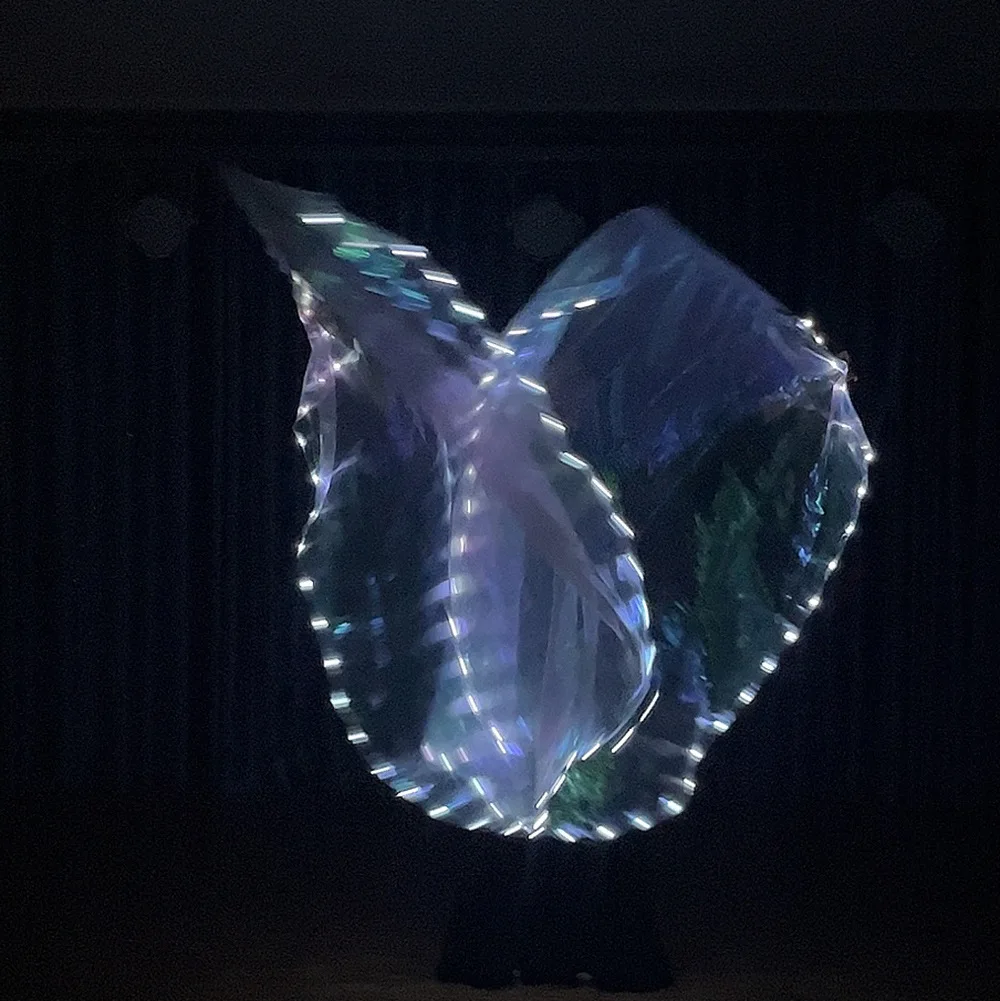 Belly Dance LED Flag Wings Dance Performance Props 1.4 Meters White Light LED Luminous Flag Elegant Wings