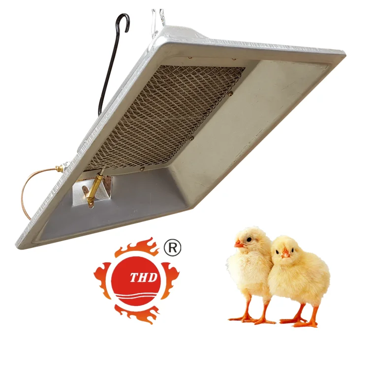 

Energy Saving Factory Direct Infrared Gas Brooder Heater for Chick Livestock Poultry Farm