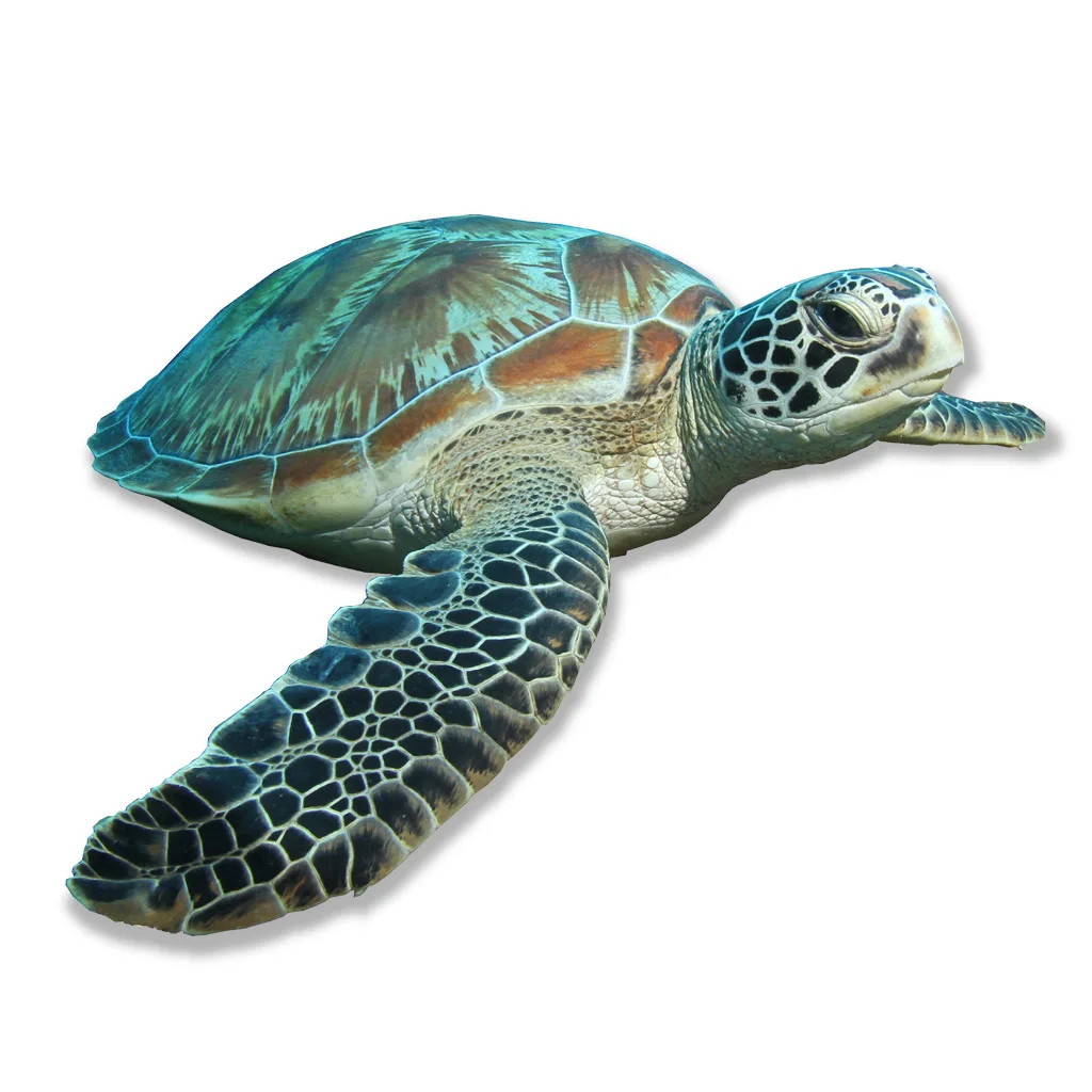 C42# Sea Turtle Wall Sticker Bathroom Living Room Background Decorations Wallpaper Creative Animals Self Adhesive Stickers