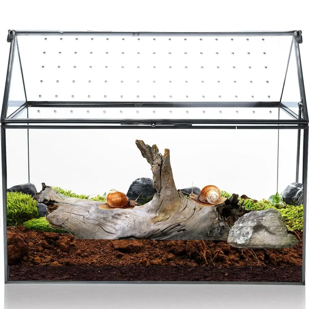 

Геометрический стеклянный террариум с акриловой крышкой, черный террариум в форме домика с вентиляционными отверстиями для улиток, суккулентов, кактусов, растений.