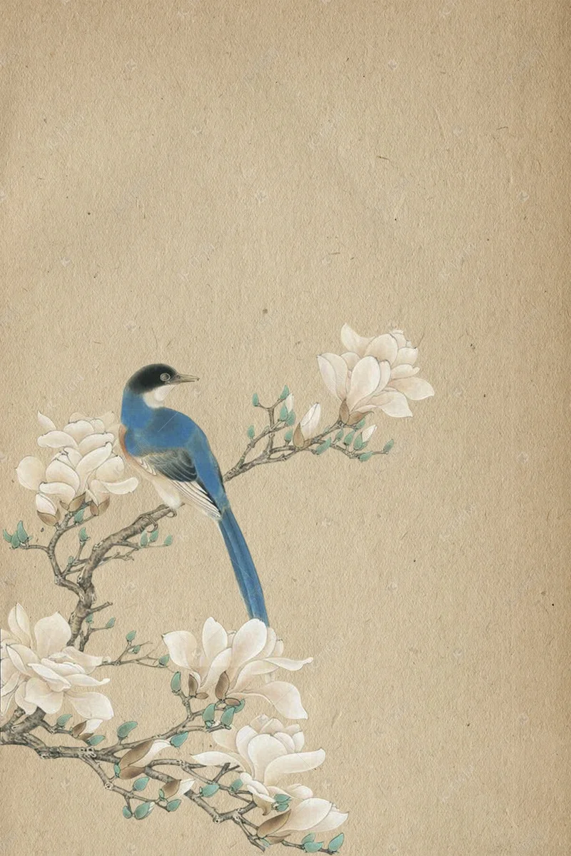 

Коллекционный набор фигурок аниме-персонажей ограниченной серии в подарочной упаковке