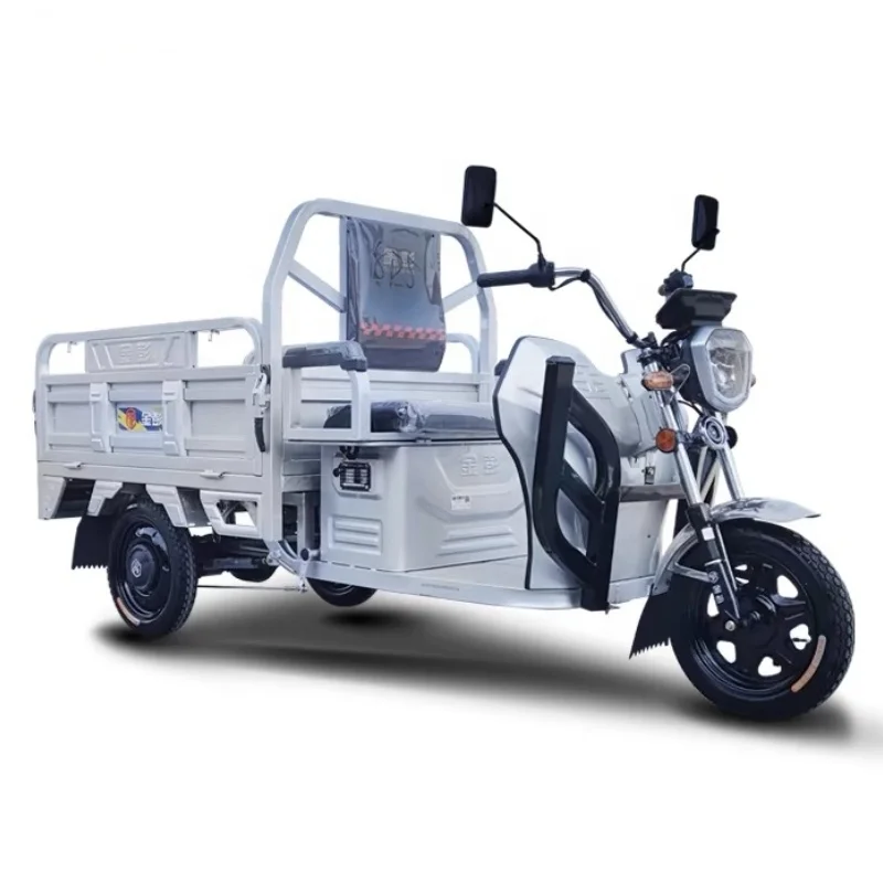 Electric Tricycle With Automatic Hydraulic Lifting System Powerful 1200W Big Tire Electric Cargo Trike