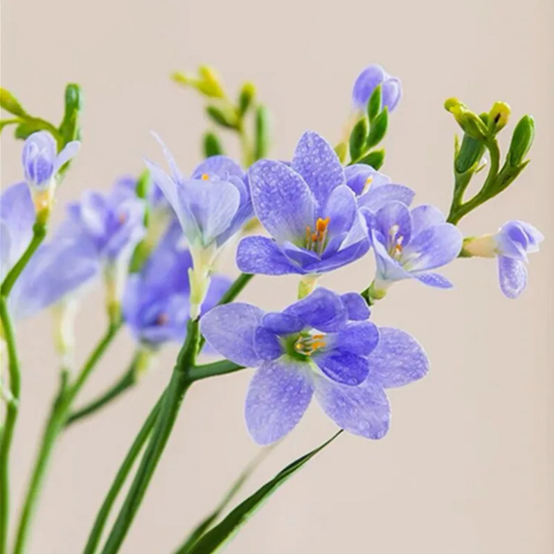 Asian Orchid for Decoration,Real Touch Petal , 2 Heads with Leaf, 60cm, Office Party, Wedding Centerpiece, Blue Common Freesia