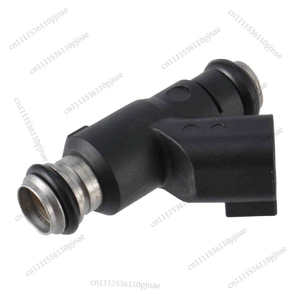 2 Hole Fuel Injector Nozzle Long Plug for Delphi 125CC Motorcycle Straddle Bike Replacement Accessory