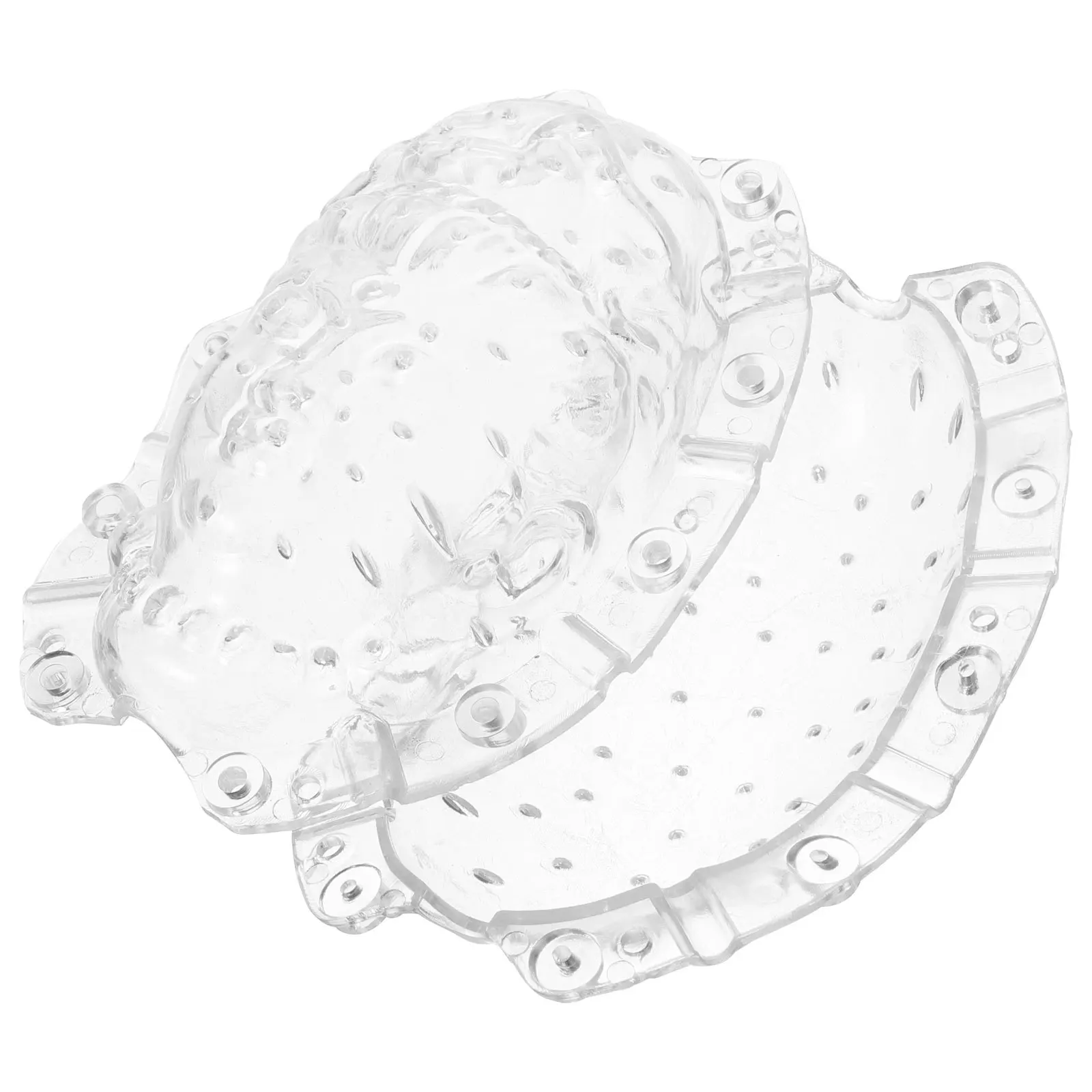 

Vegetable Shaping Mold Acrylic Transparent Fruit Growing Mold For Garden Yard Planting Ginseng Melon Forming Tool Garden