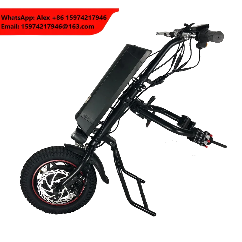 CE EN15194 Approved 36v 250w Front And Back Function Handcycle 12 Inch Folding Electric Bike