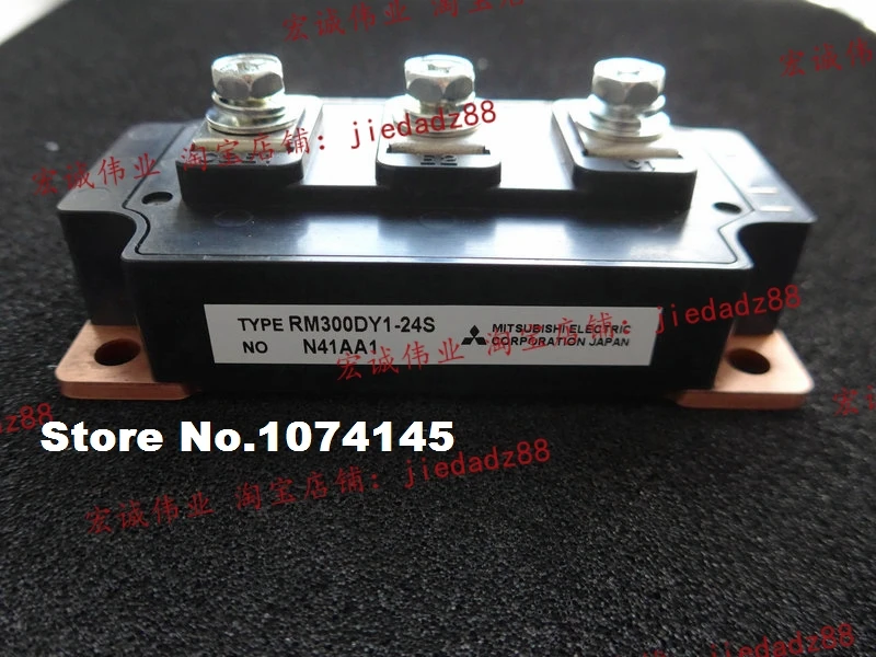 

RM300DY1-24S IGBT power module