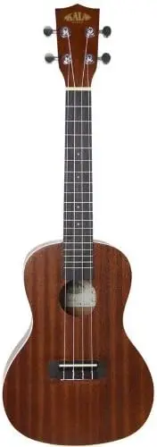 KA-C Mahogany Concert Ukulele Bundle with Hard Case, Clip-On Tuner, Austin Bazaar Instructional DVD, and Polishing Cloth