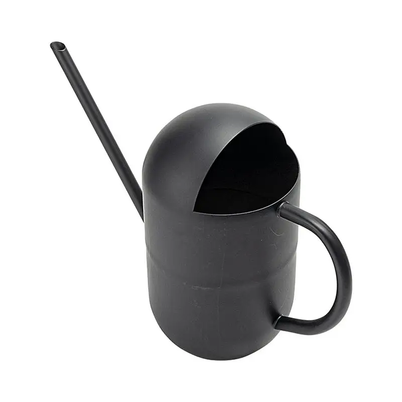 

Watering Can Indoor Plants Long Spout Bottle For Indoor And Outdoor Plants Stainless Steel 800ml Thickening Pot With Long Neck