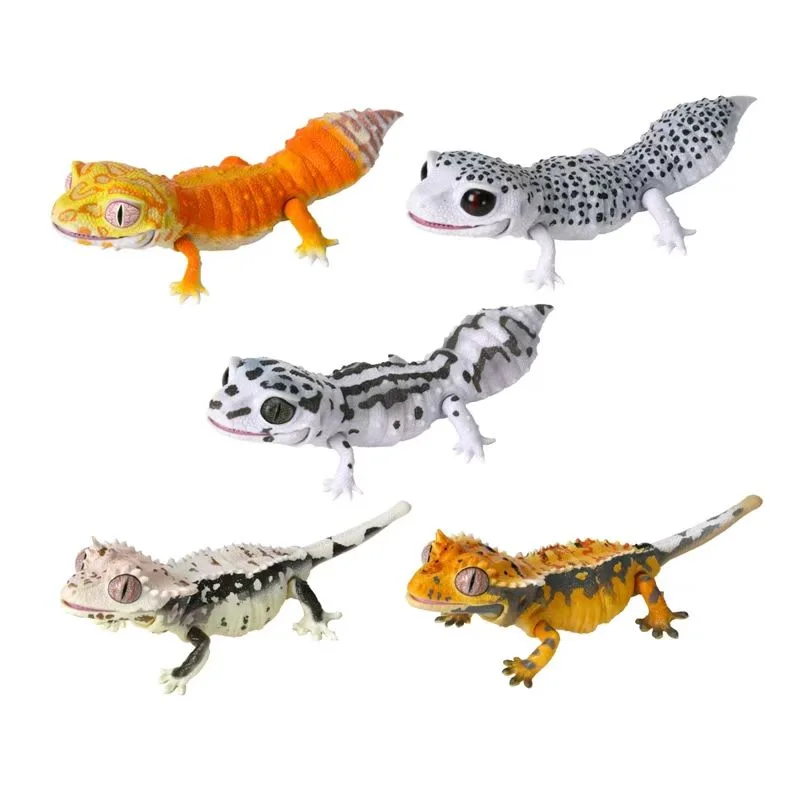 بانداي الأصلي غاشابون الموسوعة البيولوجية ليوبارد أبو بريص متوج أبو بريص الشكل أنيمي الحيوان الشكل لعبة الكبسولات ديكور مكتب