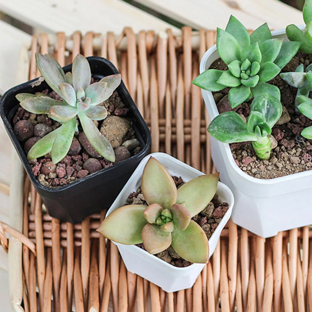 

30Pcs Thick Frosted Plastic Flower Pots Drainage Holes Lightweight Nursery Planter Pots for Garden Home Balcony Succulent