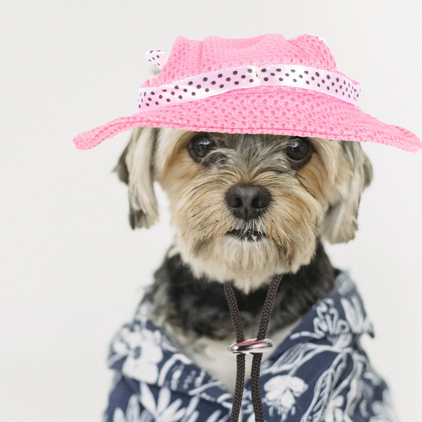 

3pcs Dog Sun For Small Dogs Adorable Pet Sunbonnet With Ear Holes Decorative Party Hat Visor Cap Puppy Sports Hat Dog Ear