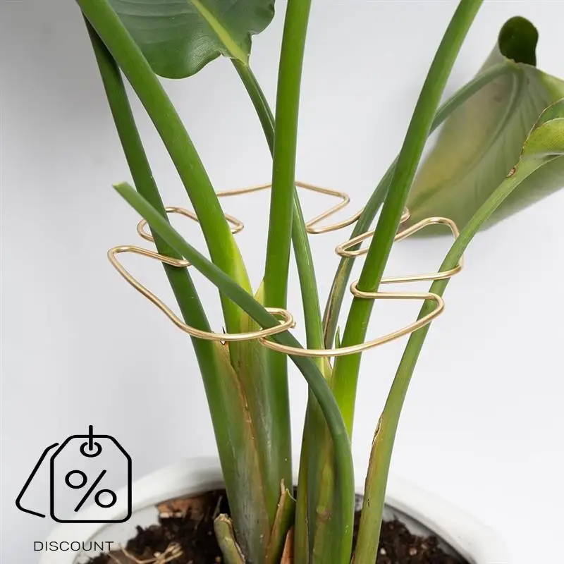ABJO-Monstera Поддержка стебля 5 шт. Система поддержки растений для растений Monstera и черепахи-качественные зажимы для листьев