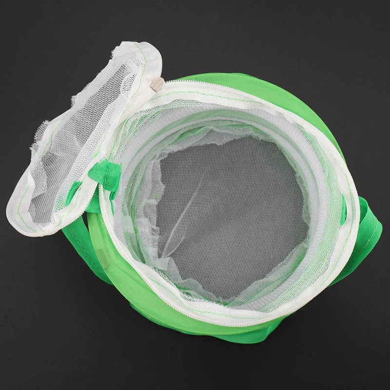 3X tongkat Mantis kecil, kandang kupu-kupu kupu-kupu