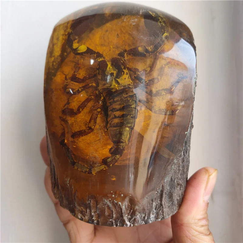 Artificial Amber with Insects Scorpion Cicada Crab Gecko Insect Specimen Tree Stump Ornament