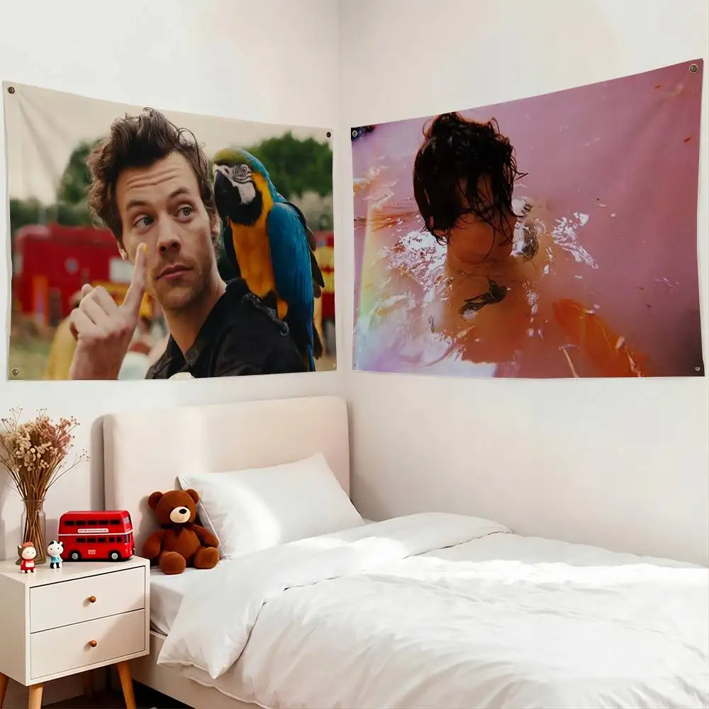 Famous Pop Singer Harry Styles Cartoon Art Print Flag Suitable For Party Club Outdoor Interior Wall Decoration Banner Fans Gift