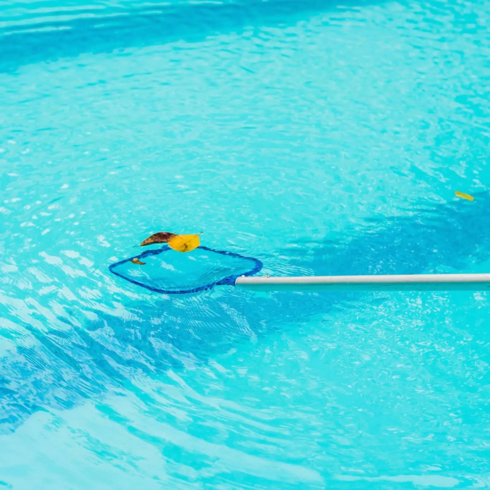 Detachable Pool Foliage Net Easy to Use Pool Skimmer with Pole Quick Connect Wide Curved Rim for Spa, Fountain