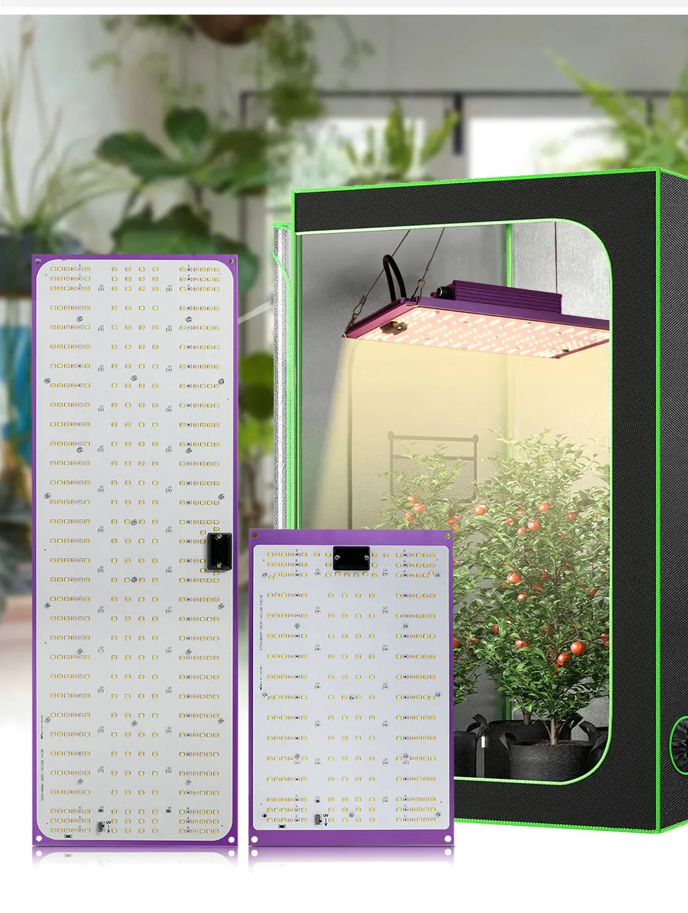 120W Vollspektrum LED-Wachstumslampe Lm281B 3000K 6000K 730Nm 395Nm Hochleistungs-LED-Chip für Gewächshäuser Dimmbar – Detail 7