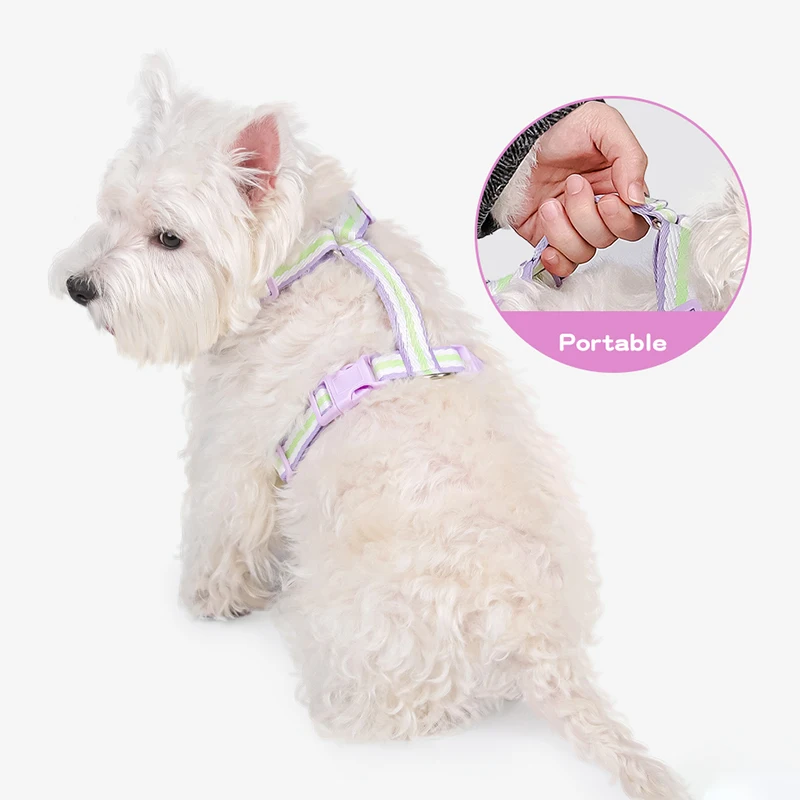 Lightweigh Breathable Dog Harness Leash Set Color Blocking Adjustable Outdoor Walking Puppy Cat Harness Pecheras Para Perros