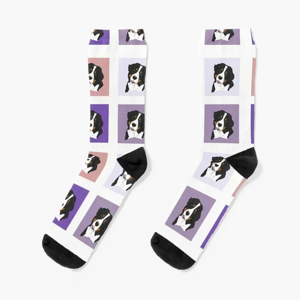 

Bernese Mt. Dog: Purple Socks Christmas floral colored set Men Socks Luxury Brand Women's