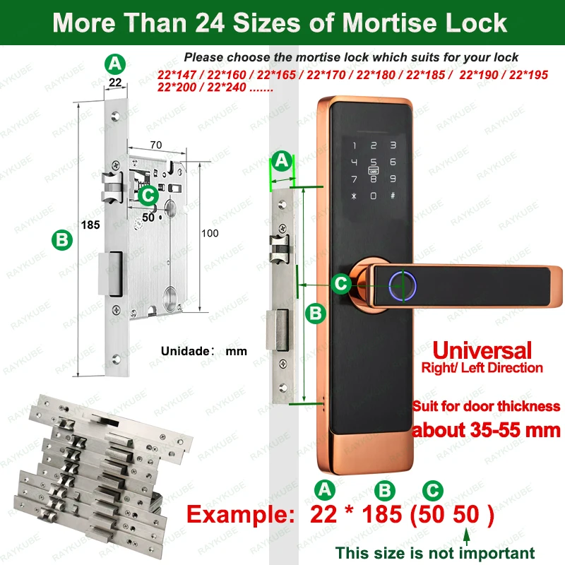 RAYKUBE L1 Golden Smart Door Lock Tuya WiFi/ Tuya ZigBee / TT Lock APP Fingerprint Digital Intelligent Electric Door Lock