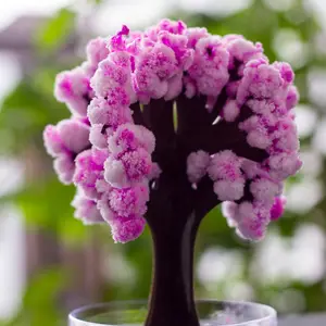 أعلى 6 مبيعات لشجرة السحرية - رقم 2