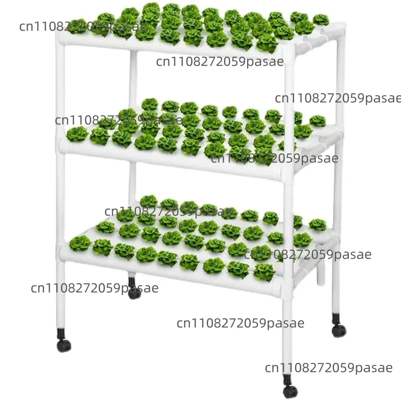 Vertical Farming Container Farm, Hydroponic Grow System for Lettuce & Microgreens, Greenhouse Factory Shipping Container