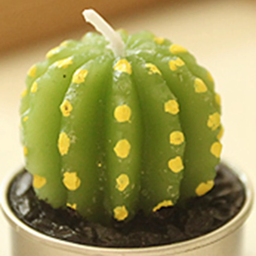Decoration Miniature Candles Garden A Rare Cactus Plant Simulation Candle Wedding Decoration Holiday Decorations B1 Birthday