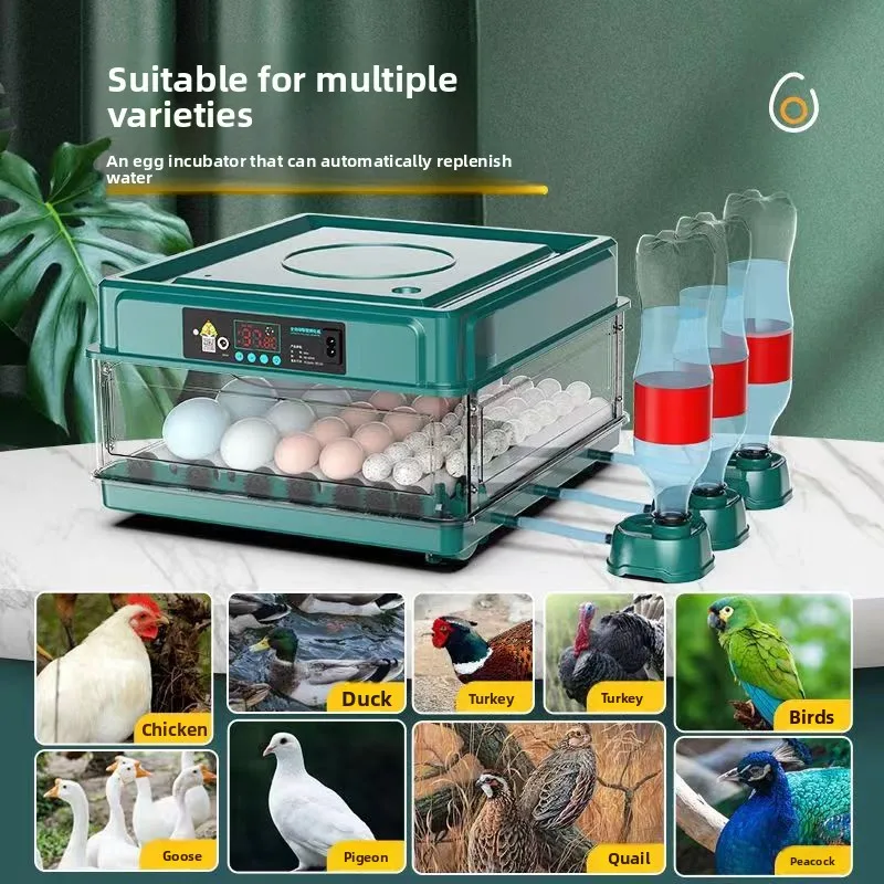 New Automatic Small Household Rutin Chicken Egg Incubator Farm Animal Supplies