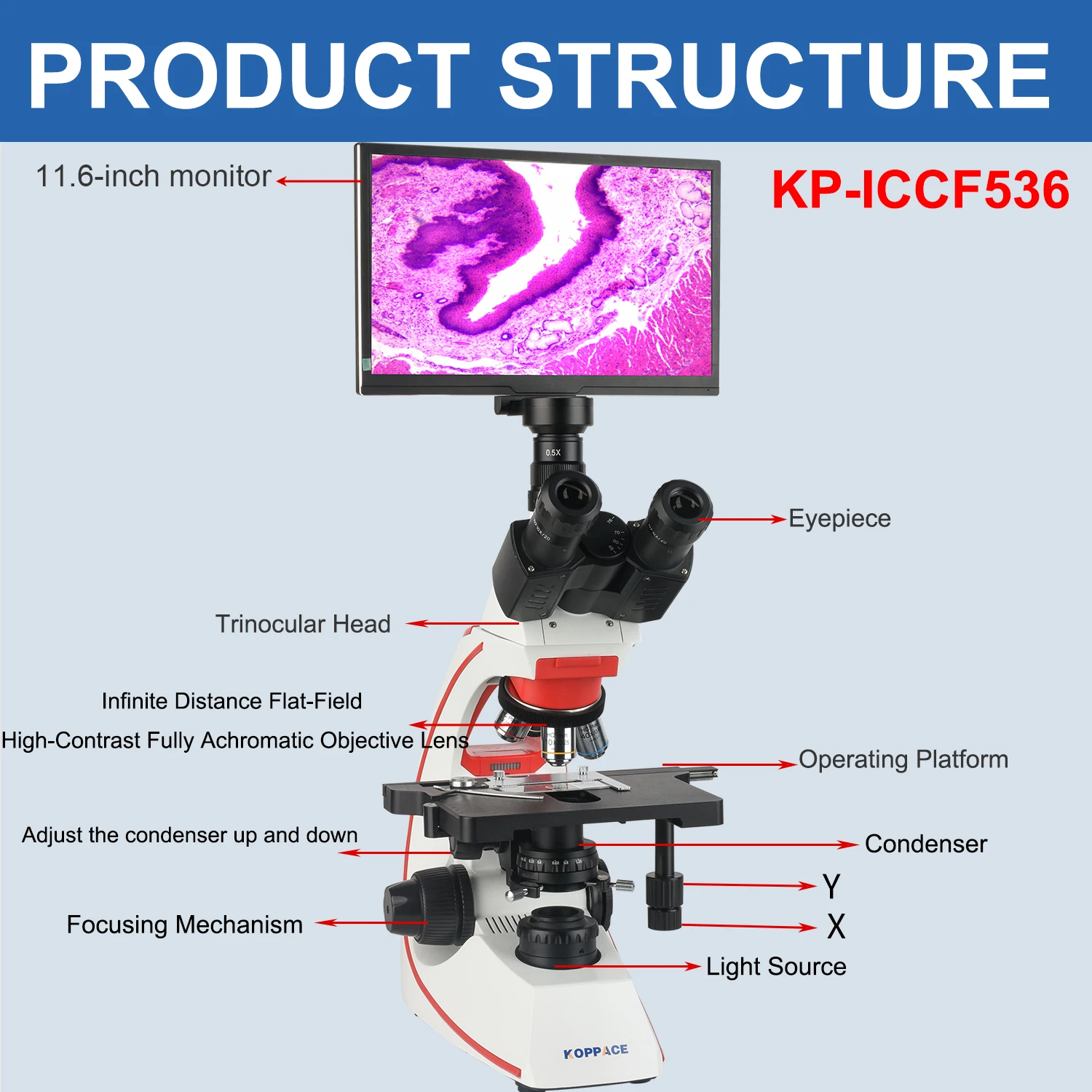 Mikroskop Elektron Laboratoriu - Microscope Compound 40X ulasan dan harga