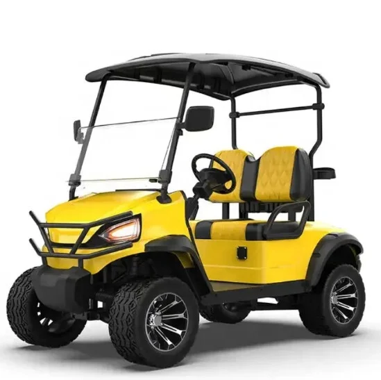 TongCai Best Price High Quality Customized 2 4 6 Seater EV Golf Car
