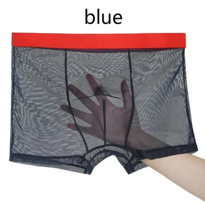 1 Pc L-3XL Thin Mesh Yarn Fully Transparent Men Underpants Personality Summer Underpants