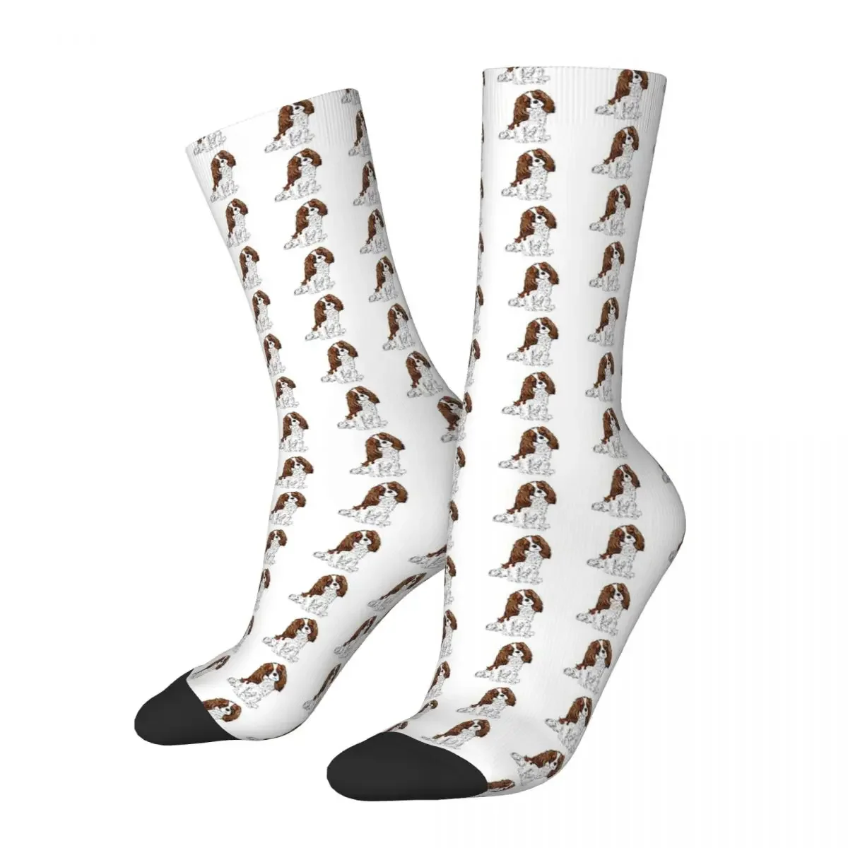 Cavalier King Charles Spaniel - Blenheim Socks Harajuku Sweat Absorbing Stockings All Season Long Socks Accessories