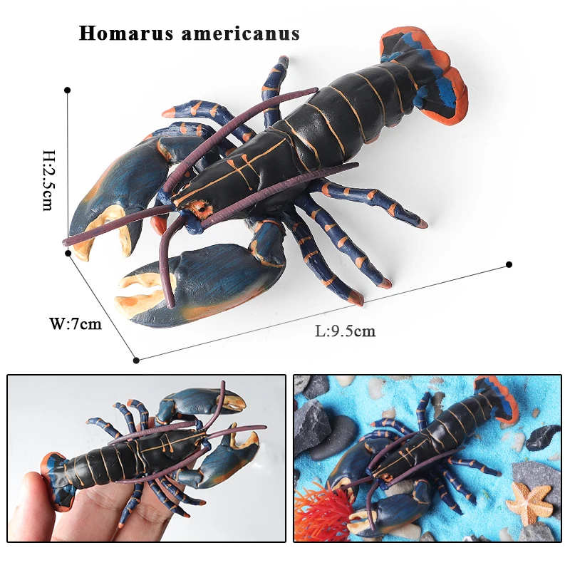 Oenux 海洋動物シミュレーションタイガーエビザリガニエビ海の生物