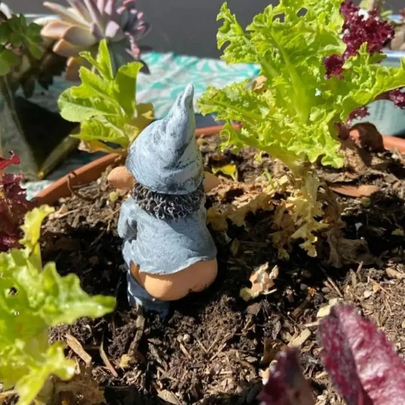 Creative Design Resin Crafts Funny Gnome Statue Garden Decoration Dwarf Taking A Shit Ornament Home Courtyard Lawn Decoration