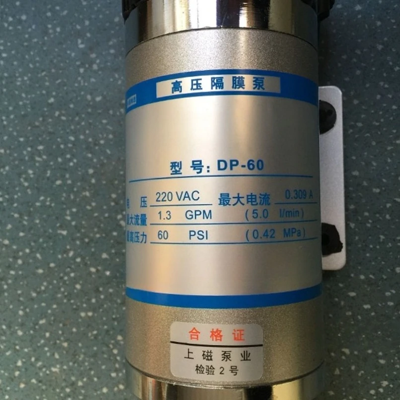 DP-60 Micro Diaphragm Water Pump High Pressure Booster Sprayer Pump 12V 24V 220V with Pressure Switch