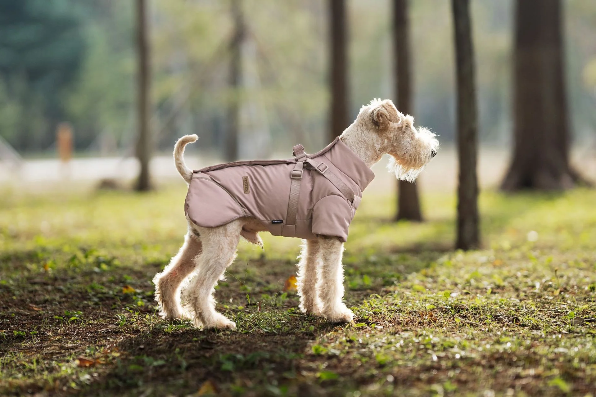 Dog Fall/Winter Cozy Jacket with Front and Back Design, Leash-Attached, Water-Resistant, Warm Outdoor Layering Coat for Pets