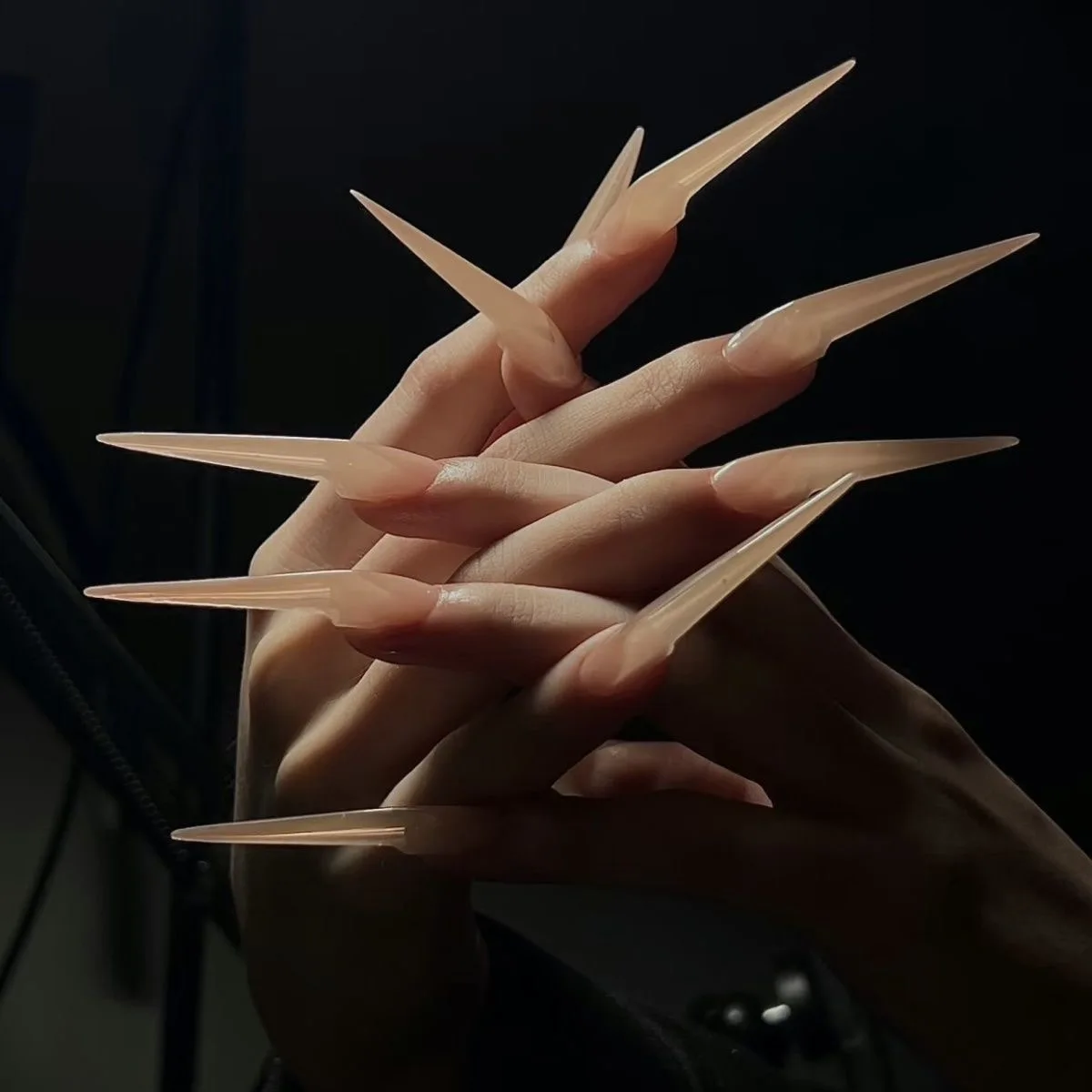 10PCS Handmade Long Dragon Beast Shape Press On Nails  Eagle Claws Fake Nail With Glue Custom Thick Acrylic False Nail Supplies