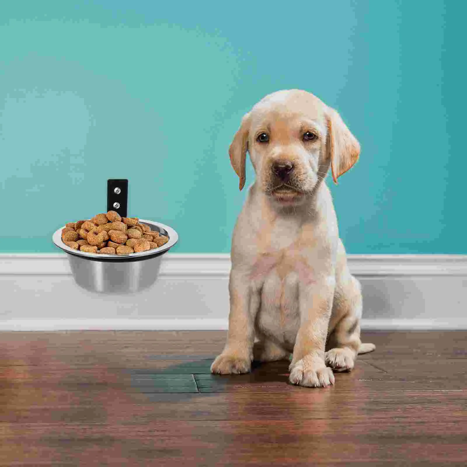 

Wall Mounted Elevated Dog Bowl Water for Cats Cage Hanging Bowls Small Stainless Steel Large Dogs Pet