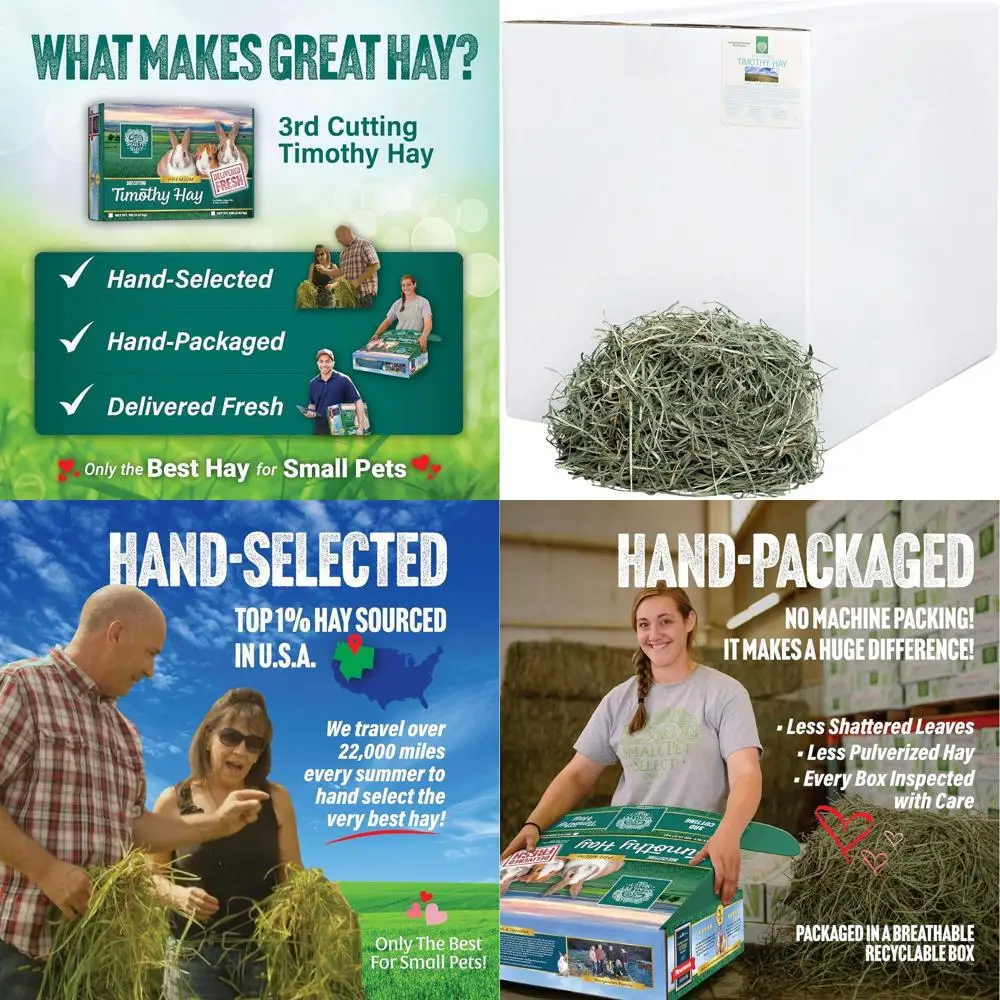 القطع الثالث لطعام الحيوانات الأليفة من تيموثي هاي فائق النعومة للأكل الصغير والأرانب وخنازير غينيا والحيوانات الصغيرة الأخرى، سهلة التخزين،