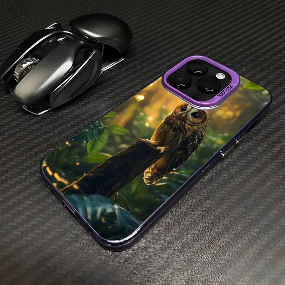 حافظة هاتف OWL FORST واقعية لهاتف iPhone 16,15,14,13,12,11,Mini,Pro,MAX غطاء مقاوم للصدمات باللون الأرجواني غير اللامع #3