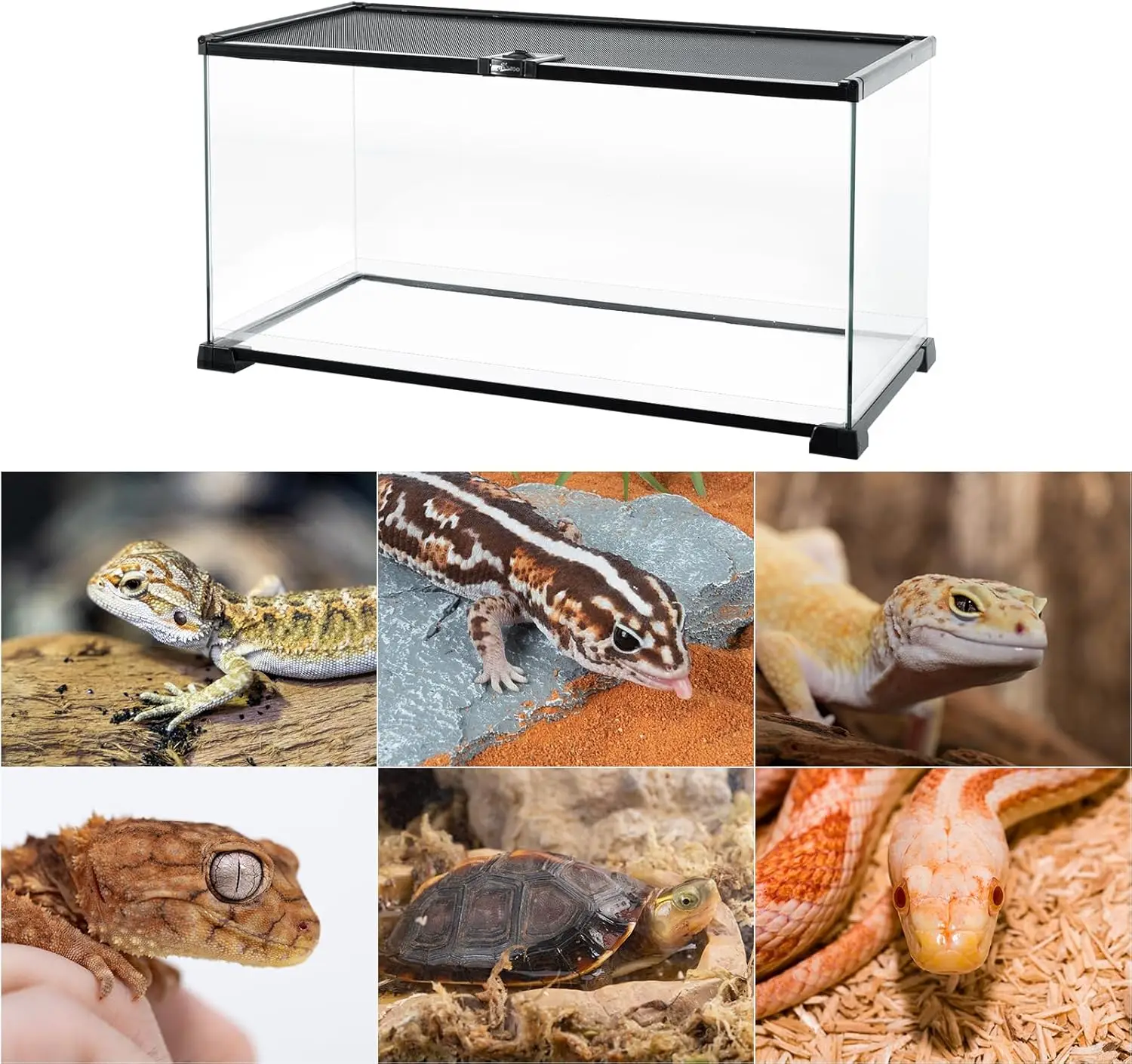 Full Glass 15 Gallon Reptile Tank Medium Reptile Terrarium 24