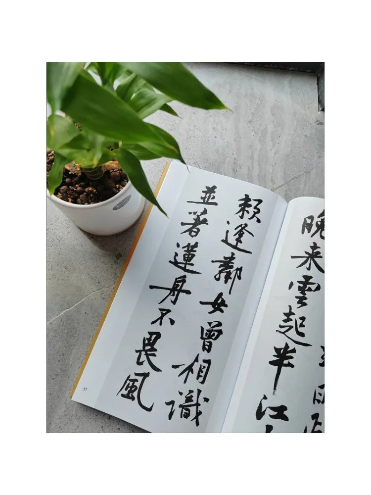 Book-Winshare Huang Tingjian's Cursive Script Collection Of Ancient Poems